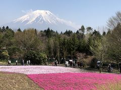 富士芝桜祭り&チャレンジ富士五湖ウルトラマラソン