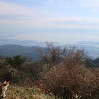 ルミナリエがみたくて神戸に行ってきた２泊３日　２日目は有馬温泉日帰り