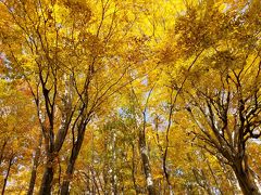 月山から湯殿山へ秘密の道