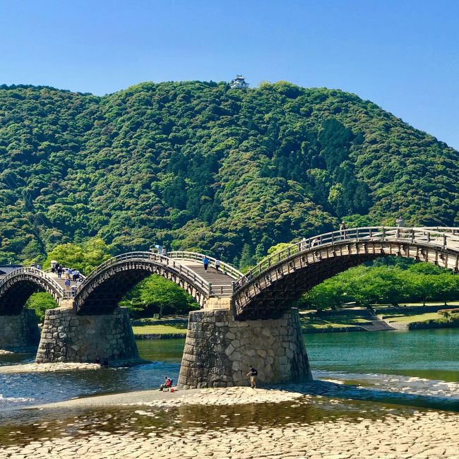 広島で泊まりの仕事が決まり、病み上がり後初の飛行機~!と張り切って早い便をおさえたら、到着後、ほぼ半日の余裕があることが判明(笑)。<br /> お天気も良いしどこに行こうか、バスセンターに向かう途中でGoogle くんと相談し、まさかの県またぎに決定。「岩国に立派な橋がある」くらいしか知らなかったので、まだ体力も戻りきっていないし、ちゃちゃっと橋往復して帰って来よう!と気軽に出かけましたが、思っていたのとかなり違う小旅行になりました。