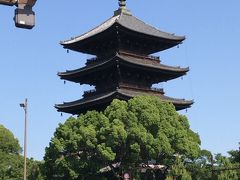 夜行バスとパン屋さん、京都一泊二日の旅