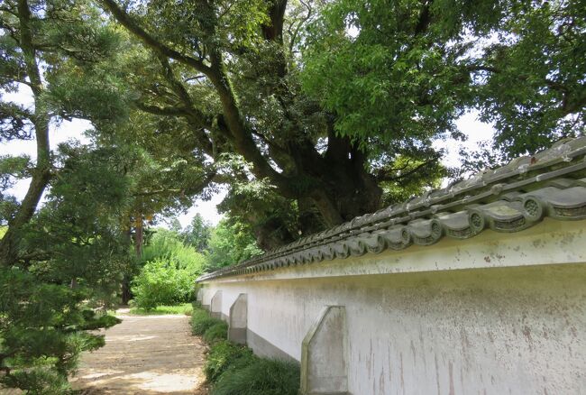 2018初夏、水戸城と江戸城(3/12)：水戸城(2)：水戸城、正門、弘道館、梅林の庭園、正庁