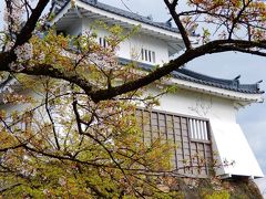 '18　現存天守二城巡りと桜を求めて（越前大野城）