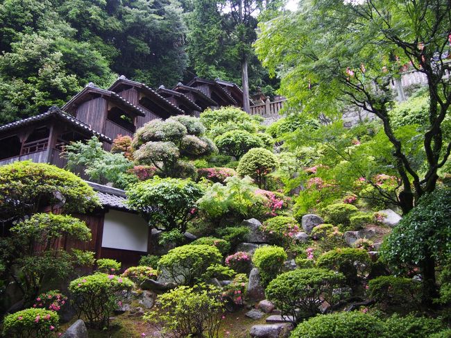 雨の鷲羽山展望台をあとにして、由加山を目指します。<br /><br />由加山、神社と寺院とがあるよう。<br /><br />神仏習合の名残りだと思うのですが、鷲羽山を出た時には、よくわかっていませんでした。<br /><br />とにかくナビには、蓮台寺を指定すると、駐車場と出てきたので、そこにセット。<br /><br />車を３０分ほど走らすと、駐車場に着きました。<br /><br />そこには、由加神社本宮と由加山蓮台寺の、神聖な雰囲気のある神仏エリアが広がっていました。<br /><br />【写真は、蓮台寺客殿の庭園です】