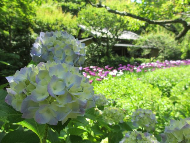 北鎌倉寺めぐり