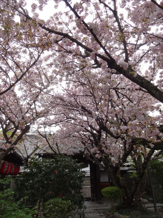 京都は　知人が誘ってくれたので3人で待ち合わせて　知人のお勧めの雨宝院へ<br /><br />まず、山科の疏水の桜を見て　地下鉄東西線小野駅から徒歩で6分 勧修寺へ　山科に戻り　京都で待ち合わせ<br />二条からバスで行き　降りて歩く<br /><br />京都からの電車もバスも　混んでいた。<br /><br />疏水の桜は　残念ながらピークは過ぎていた。<br />他は　まあまあ。<br /><br />１８きっぷで<br /><br />通常料金　　　９７０円＋２００円＋１１４０＝２３１０円　　　<br />１８きっぷ１枚　２３７０円<br /><br />他に使う予定もないので　－だけど使う<br /><br /><br />No1 浜松城　<br />https://4travel.jp/travelogue/11349309<br /><br />No2 長浜城　伊東園　彦根ビューホテル <br />https://4travel.jp/travelogue/11349478<br /><br />No3　山科　京都　<br />https://4travel.jp/travelogue/11367415<br /><br />No4 彦根<br />https://4travel.jp/travelogue/11367427<br /><br />No5 岡崎<br />https://4travel.jp/travelogue/11367451