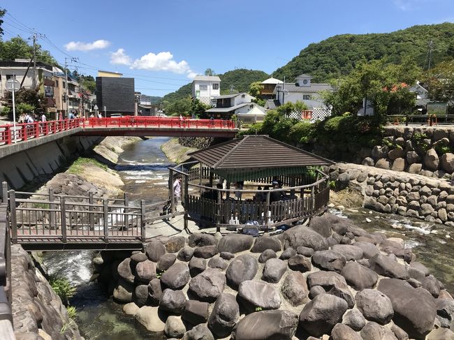 5月19日から2泊3日で、伊豆半島を旅行しました。<br />2016年12月(https://4travel.jp/travelogue/11276958)以来の伊豆半島への旅です。<br />今回は、河津、修善寺周辺を観光しました。<br />マリオットに泊まろう第ニ弾として、伊豆マリオット修善寺に泊まってきました。せっかく伊豆に行くので、気になっていた伊豆今井浜東急ホテルにも宿泊しました。<br />マリオットに泊まろう第一弾・東京マリオットホテル編はこちら(https://4travel.jp/travelogue/11359621)。<br />