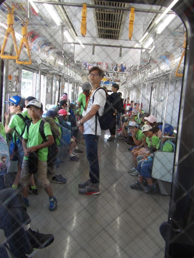 　JR茅ヶ崎駅には快速アクティに乗って来たので、今日は3日前よりも2、3本早い電車に乗れた。また、今回は待ち時間は15分程度であった。さらに、車両編成は2両ではなく、4両である。ただし、前の2両には小学校低学年の子供たちが待っていて乗り込み、長椅子にびっしりと詰めて座っている。しかし、児童の数は3両分もいたので立っている子供たちも多い。勿論、引率の先生方も立っている。しかし、本質的な違いは子供たちは吊り輪まで手が届かないということだ。そのために、ドア脇の鉄のポールの辺りに集まっている。<br />　これは寒川神社への遠足だろうと直ぐに思ったが、果たして子供たちと引率の先生方はJR寒川駅で降りた。寒川神社の参道を通って境内でお昼なのだろう。<br />　子供たちが降りた後、JR倉見駅の手前から富士山が見える。梅雨に入っていたので、富士山を見るのを忘れていて、JR戸塚駅を出た更地となっている中外製薬の敷地、かつての日立戸塚工場跡から富士山が見えるのだが、今日はそれを確認するのを忘れていた。ここJR倉見駅辺りでは戸塚や鎌倉と同じ程度に5、6号目辺りまで裾野が見える。しかし、次のJR門沢橋駅からは8合目くらいの上の方だけで雪の白いひだも一部は前の山の影に入ってしまっている。これは菊名の丘の上よりも隠れていて、川崎市内から望める程度であろうか。そして厚木駅では完全に丹沢の後ろに隠れてしまい、全く見えない。海老名では丘の上からでも富士山が望めず、聞いてみると東名高速路辺りまで行かないと見えないと言っていたが、どうやら見えるのはJR社家駅辺りまでなのだろう。<br />　神奈川県内と言っても富士山が見えないというのはやはり寂しいことだ。<br />（表紙写真はJR相模線の先頭車両）