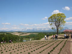 初夏の北海道（２泊３日）