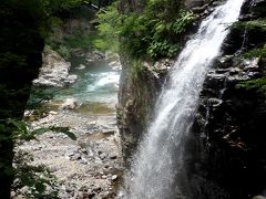 青いケシと龍王峡、日光天然氷でかき氷。