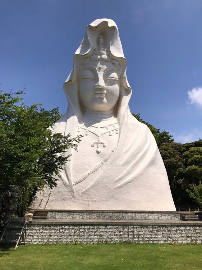 梅雨入りはしたものの朝から青空が広がっています。貴重な晴れの日に近場にちょっとお出かけしました。<br />行き先は いつもJR大船駅を通過する時に見える大きな観音像が気になっていたので大船観音寺へ行ってみることに。<br />そして4月に日比谷花壇のネーミングでリニューアルしたフラワーセンターにも行ってきました。