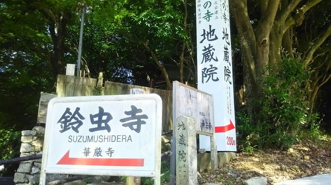 <br />鈴虫寺 http://www.suzutera.or.jp/ <br /><br />京都の情報 https://sites.google.com/site/wonderfulcare1/jouhou-peji<br /><br />京都市西京区に位置しており、嵐山渡月橋から南に向けて行くと、松尾大社があります。<br /><br />更に南下すると、直ぐに鈴虫寺の道案内があります。<br /><br />嵐山からは、京都バスがとても便利になります。<br /><br />この鈴虫寺は、境内に鈴虫を飼っており、年間を通して鈴虫の奏でる心地の良い音色を聴くことが出来るそうです。<br /><br />そして、この寺独自の「鈴虫説法」と言うのがあり、住職や副住職をはじめ数名の僧が、お話しいたします。<br /><br />そのお話しがとてもユーモアにあふれており、とても人の心に響き渡るように優しさに満ちているとても良いお話をされます。<br /><br />いつ行っても、人が大勢並んでおり順番待ちをしているようです。<br /><br />日本全国のみならずに、諸外国からもお坊さんのお話を聴きに来るそうです。<br /><br />