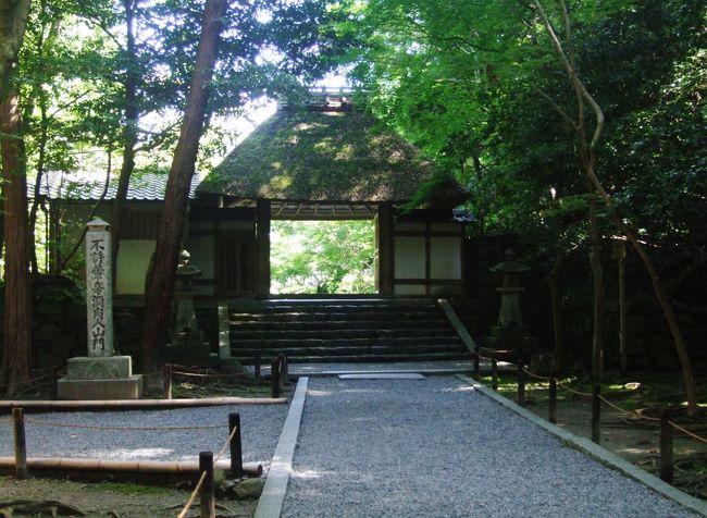 ほんとうの京都の静けさ、趣きを求めて東山方面を歩こうと出かけてみました。行先は、法然院そして安楽寺を参拝します。続いてかねがね訪れてみたいと思っていた住友コレクション 泉屋博古館を訪ねます。<br /><br />表紙は、法然院山門