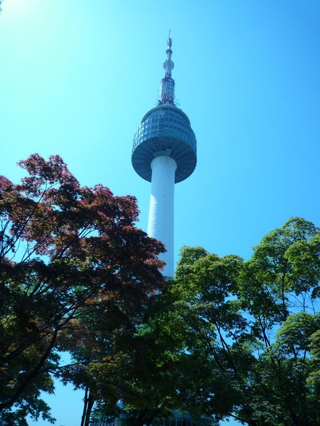 ２０回目の韓国ですがいつもツアーで、きっと並ぶ時間が大変なのかドラマで出て来るソウルタワーのケーブルに乗ったことが無いので<br />是非乗りたかったです。<br />ホテルから歩いて、南山オルミ無料ケーブルは朝9時からです。<br />始発で乗りましたが次のケーブルは、10時からでした。<br />暑いので売店の喫茶で、休憩です！