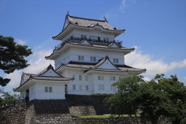 2018年6月2日(土)から17日(日)まで開催中の「小田原城あじさい花菖蒲まつり」を見に行きました。この機会にこれまで箱根に行く際素通りしていた小田原市内を巡ってみました。<br />概ね東海道線の南側の小田原城(含む遺構)、小田原宿・なりわい、邸園(邸宅庭園)を訪ねました。<br />小田原は戦国時代からは城下町として、江戸時代には宿場町として栄えていたことは分かっていましたが、明治時代は別荘地として栄えていたんですね。