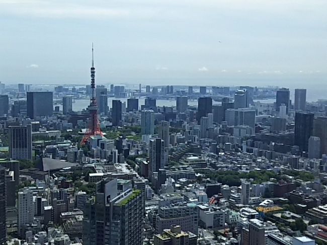 大好きなリッツカールトン東京。<br />オープンの翌年くらいからお邪魔してます。<br />バリ島に行くようになって回数は減りましたが、一番好きな場所であることは変わりません。<br />今年初めての滞在です。