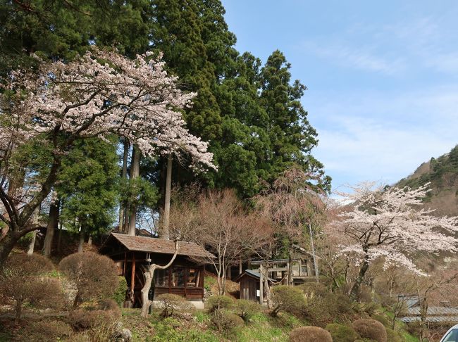 2018春 岩手お花見の旅＜第2日＞OIGEN Factory Shop→胆沢城跡→金ケ崎町城内諏訪小路