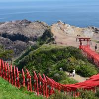 母と行く萩・津和野・安芸の宮島ツアー三日間