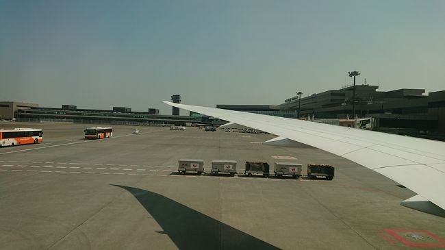今回は往路JAL、復路マレーシア航空でペナン島に行ってきました。<br />ゆっくりと休む予定でいったのですが、行き飛行機整備で3時間遅れで出発、ペナンに着いたら荷物が来ていないと翌日まで落ち着かない旅の始まりでした。その後はいつものペナンでゆっくり過ごせました。