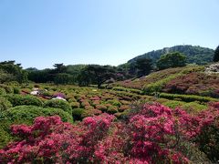 ０１．ＧＷ前半のエクシブ伊豆2泊　三島～伊豆高原のドライブ　小室山つつじ祭り　