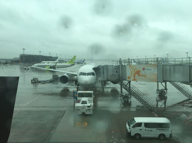 台風の影響で梅雨前線が刺激され雨が降る中、飛行機で小松へ。<br />一瞬、北陸新幹線のグランクラスで行ってみようかと思ったが、値段が高いので断念。でも土曜日に新幹線で殺傷事件が起こった後なので、新幹線にしないで良かったと思った。<br />安全性より利便性を優先する新幹線には、正直余り乗りたくない。今後もっと大きな事件が起こる気がしてならない。誰が何を持って乗っているか分からない電車が300kmで行き交っていると思うと、とても恐ろしい…<br /><br />私の不満はともかく、亡くなられた方のご冥福をお祈りいたします。