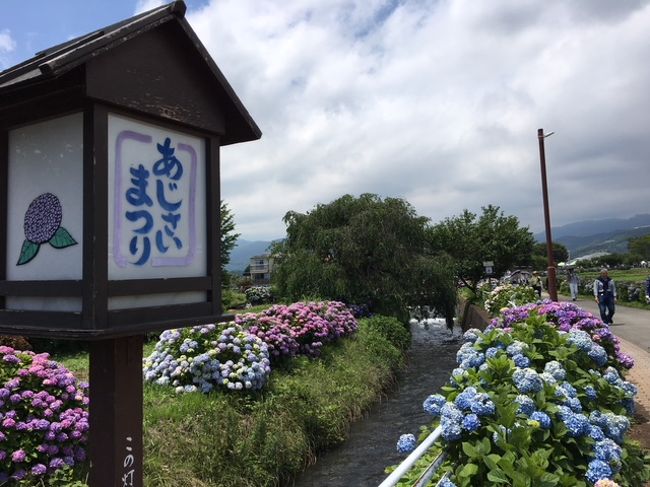 日帰りバスツアーで行く「３つの花名所とアサヒビール工場見学」～①南足柄アサヒビール工場・開成町アナベル！