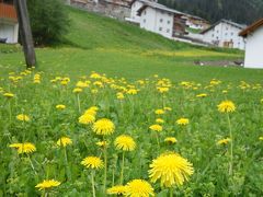 Lechの街はワイルド・フラワーがいっぱい。お花に囲まれた街です。