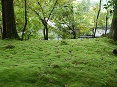 ６月の京都、地蔵院　 西芳寺（苔寺）　月読神社　 浄住寺へ