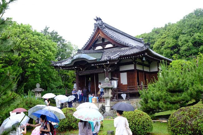 なごやんツアー国宝特別開帳２寺めぐり　”秋篠寺・唐招提寺”に<br />参加しました。秋篠寺は美しい伎芸天像で知られるお寺ですが<br />6月6日、年に一度の秘仏「大元帥明王」の御開帳があります。また<br />御朱印もこの日に限り頂けるとあり、お寺の外まで列ができていました。<br />「大元帥明王」を拝見するまで2時間ほど…御朱印は添乗員さんが<br />まとめてお願いされ帰りまでには何とか書き上げて下さいました。<br />駐車場は奈良公園近くの「なら和み館」で済ませ、２寺目の唐招提寺に<br />開山忌にあわせて鑑真和上のお厨子が開かれ、鑑真和上像（国宝）が<br />特別公開されました。雨模様小降りに…唐招提寺の奥ノ院とも<br />言われる 西方院に訪れる人も少なくひっそりとしたお寺です…<br />ここには仏師・快慶の仏像「木造阿弥陀如来坐像」が収蔵庫に安置されて<br />います…拝観お願いしましたが生憎の天気ため拝観ならず…残念。<br /><br /><br /><br /><br /><br />