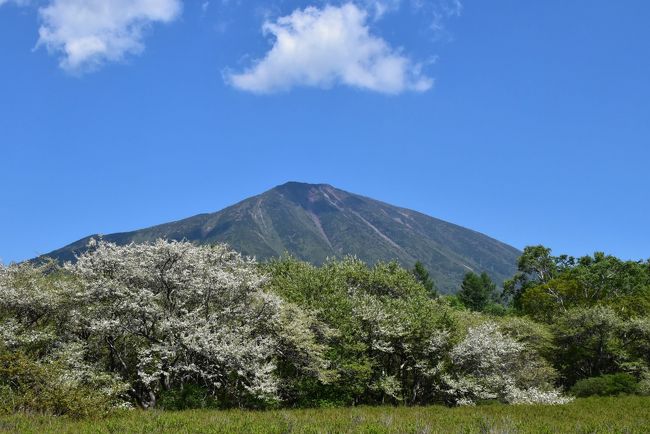 今日の午後は、中禅寺湖畔に佇む英国大使館別荘を訪れます。<br />明治中頃から昭和初期にかけて、中禅寺湖畔には各国の大使館をはじめ多くの外国人別荘が建てられ、国際避暑地としてにぎわいました。<br />英国大使館別荘は現在、栃木県に寄贈され、一般公開されています。<br />ここは吉永小百合さんが出演するJR東日本「大人の休日倶楽部」テレビCMのロケ地にもなりました。 <br /><br />次に戦場ヶ原の湿原を訪れます。<br />戦場ヶ原には「ズミとワタスゲ」が咲き誇っており、赤沼から光徳入口まで歩き、青空に恵まれた気持ちいいハイキングになりました。<br /><br />帰りの途中、日光駅近くで昔懐かしい日光軌道、宇都宮駅で「リゾートやまゆり」、上野駅で豪華寝台列車「カシオペア」に偶然にも出会います。<br /><br />なお、旅行記は下記資料を参考にしました。<br />とちぎ旅ネット「英国大使館別荘記念公園」<br />トラベルジェイピー・フルリーナYOC「英国大使館別荘記念公園」<br />日光自然博物館「英国大使館別荘記念公園」「戦場ヶ原からこんにちは」<br />庭木図鑑 植木ペディア「ズミ」<br />