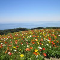 淡路島と姫路城の旅　　～瀬戸大橋から明石海峡大橋を回る周遊旅～