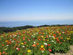 淡路島と姫路城の旅　　～瀬戸大橋から明石海峡大橋を回る周遊旅～