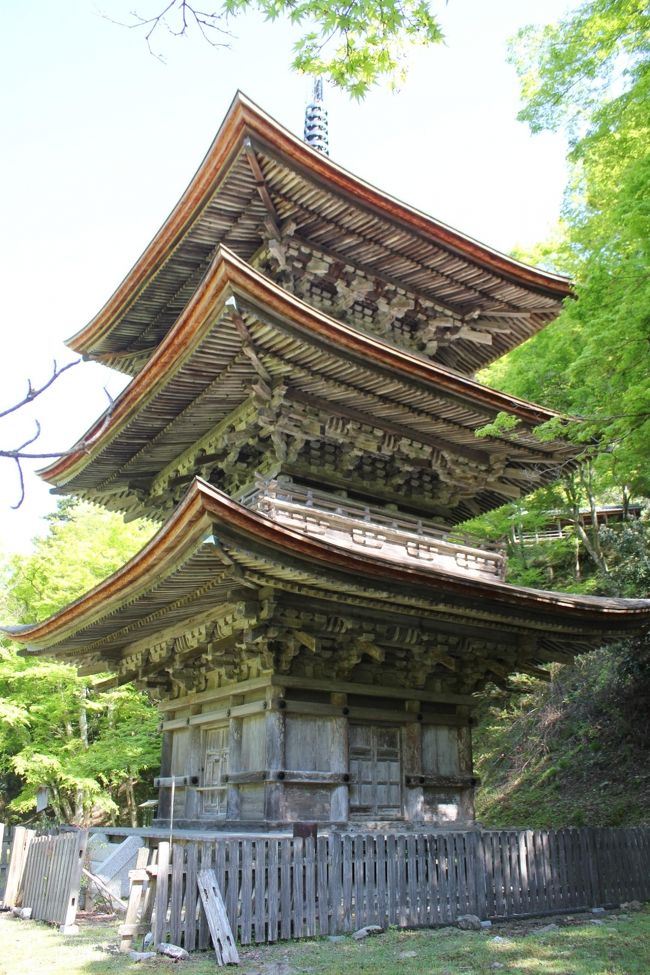 今回の旅行は、小浜と琵琶湖北部の古寺と仏像を訪ねる旅です。<br />事前に行きたいお寺をピックアップすると、公共交通機関ではとても回れないことがわかり、マイカーで回ることにしました。<br />＊写真は舞鶴/金剛院の三重塔<br /><br />《スケジュール》<br />1日目（2018/4/18）<br />小樽発［前日］23:30（新日本海フェリー）舞鶴着 21:15〔舞鶴 泊〕<br />2日目（2018/4/19）<br />【舞鶴】松尾寺、金剛院、徳蔵禅寺<br />【小浜】羽賀寺、圓照寺、妙楽寺、多田寺、若狭姫神社、若狭彦神社、萬徳寺、神宮寺、明通寺、天徳寺、瓜割の滝、長浜城、〔長浜 泊〕<br />3日目（2018/4/20）<br />【木之本】西野薬師堂、正妙寺、赤後寺、黒田観音寺、木之本地蔵、石道寺、己高閣、医王寺、渡岸寺観音堂、観音の里資料館、〔大津 泊〕<br /><br />＊2018/8/15 一部変更しました。