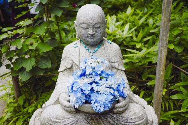 北鎌倉で明月院ブルー時々ネコ 鎌倉 神奈川県 の旅行記 ブログ By Onyanさん フォートラベル