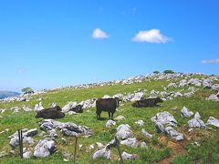 【徳島】【高知】【愛媛】大阪からドライブ四国旅行(その2)