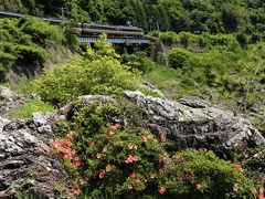 岐阜の撮影スポットを周る♪　岩ツツジの飛水峡、モネの池、２１世紀の森♪