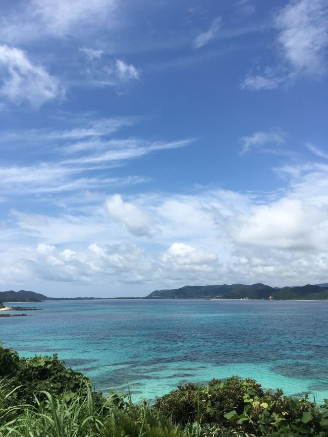台風迫る梅雨の奄美大島に2泊3日の弾丸旅<br /><br />STWで一人\26,800<br />成田発バニラエアを利用<br />ホテルニュー奄美に宿泊(ダブルルームからツインに変更+2,000)<br /><br />成田の駐車場はお決まりのシャトルパーキング<br /><br />旅の目的はシュノーケリング<br /><br />1日目 土盛海岸 →用安海岸→手広海岸→赤尾木海水浴場→打田原ビーチ<br /><br />2日目 国道58号を南下県道85号<br /> タエン浜海水浴場 屋鈍海水浴場<br /> 県道75号北上<br /><br />3日目 崎原ビーチ →打田原ビーチ → あやまる岬観光公園<br /><br />