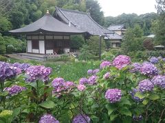 ジモティには有名な紫陽花、花しょうぶの名刹