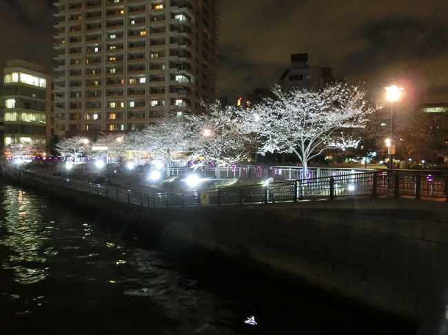 大崎から五反田間の目黒川沿いの夜桜散策<br />目黒周辺と違いゆっくりと鑑賞できます。<br />ただしライトアップされていない場所は多いです。