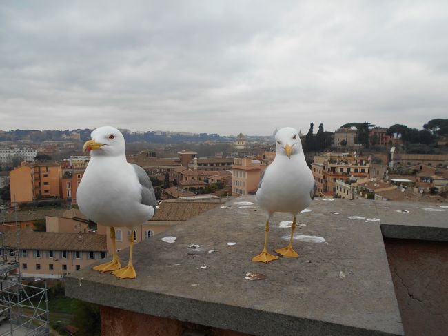 2018年3月、夫婦2人のイタリア旅行記録です。ローマ5泊、フィレンチェ3泊、ベネティア3泊、ミラノ2泊です。航空券、ホテルを別々に予約、日程は完全なフリープランです。<br />2人とも70才超のシニアです。シニアでも海外旅行を楽しもうではありませんか。<br />今回は往復の空の旅と、イタリア国内の移動の話。<br />史跡や美術館についての感想は、2以降に書きたいと思います。<br /><br />