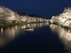 201804-05_弘前公園の夜桜