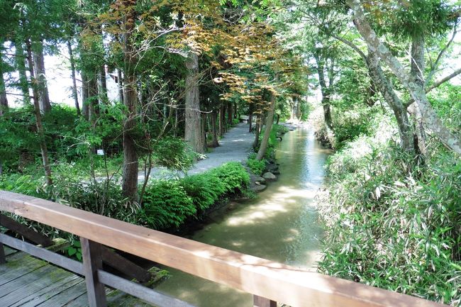 梅雨入りした関東とは違い、汗ばむ陽気のみちのく旅。<br />２日目の目的地は浄土ヶ浜です。<br /><br />ついでに、遠野でカッパの捕獲でもしようか！