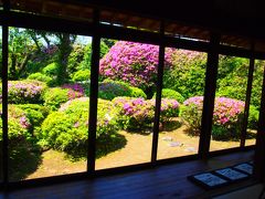 善隆寺　禅寺　日本一小さなツツジ鑑賞会