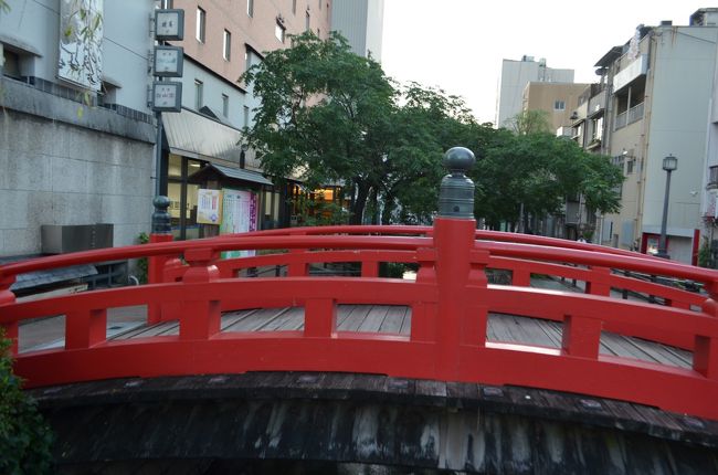 学部生の時分に車を運転して行って以来、三十五年ぶりぐらいで高知を訪れました。業務でしたから、お昼過ぎに着いて翌朝は空港に直行、夜に播磨屋橋近辺で食事をしたのが唯一の娯楽でした。しかし、鰹のたたきにしても酒盗にしても、靫の唐揚げにしても、魚介類はどれも満喫しました。