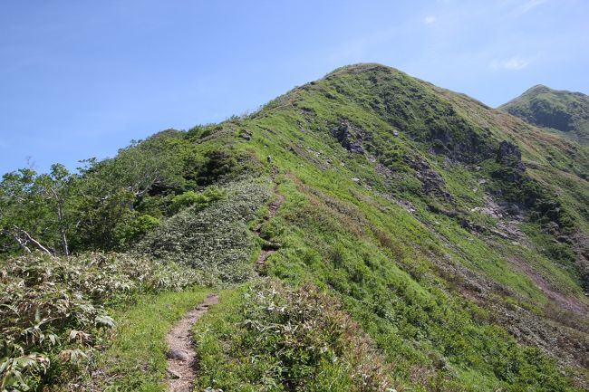 梅雨期に入ってからは、晴れの予報が分かったらいつでもすぐ出発できるように登山準備を整えて晴れの日を待ちわびています。<br />ちょうどそんな日に遭遇し、福井県大野市にある三ノ峰に17日(日）登ってきました。<br /><br />梅雨の時期の登山はなかなか予定が立てにくいですが、近場の山は天気予報を見てから直近で判断して出発できるので、ハズレがなくて良いです。<br /><br />朝から快晴で、6時台の到着というのに、上の方の駐車場はいっぱいでした。<br />ここは、刈込池という秋の紅葉期にはとても人気の場所で、シーズン外と思っていたので驚きでした。<br />意外とこの時期でも登山道中、山頂にも沢山の人が居て人気のコースなのだとわかりました。<br /><br />上の方に上がってしまえば、稜線歩きが楽しめて、遥か向こうには、別山平、別山、白山の御前峰と大汝峰の頭が綺麗に見える素敵なルートでした。<br /><br />まだ陽が昇るかその前ぐらいに出発されている方は、別山平を通り越して、別山まで行って折り返す方が多数おられました。<br /><br />私たちも少し遅い出発でしたが、別山平までは行けるかなと思いながら登りましたが、三ノ峰に登頂寸前に雲が掛って眺望が悪くなってしまい、下山後も大阪までの移動と、何よりも大野の名水を汲むミッションがあるので、三ノ峰までの往復で下山しました。