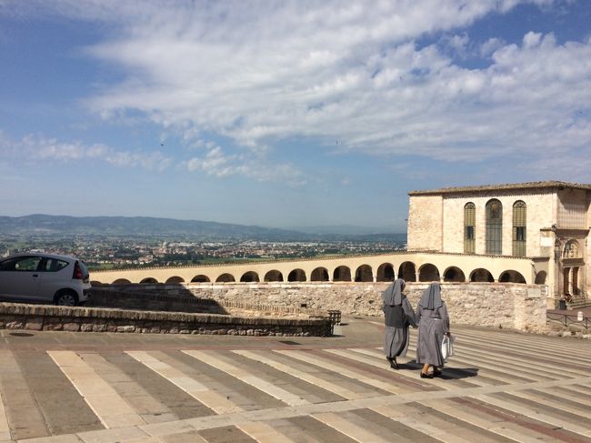 イタリア観光の王道コース、ミラノ～ベニス～フィレンツエ～ローマを芸術鑑賞しながら周り、そして祈りの街アッシジにも立ち寄りました。<br />また、フリーの日には日本から予約したレストランでグルメも楽しみました