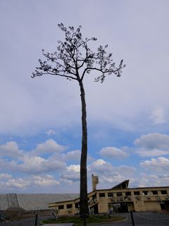 2018.4 7年ぶりの石巻など被災地の訪問6-陸前高田奇跡の一本松，ＢＲＴ盛駅，ＢＲＴ陸前高田駅の周辺