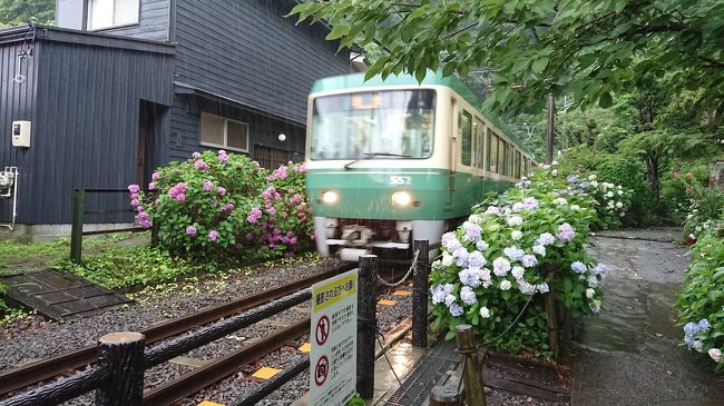 鎌倉雨に濡れたあじさい見物の旅201806パート２（江ノ電とあじさい編）