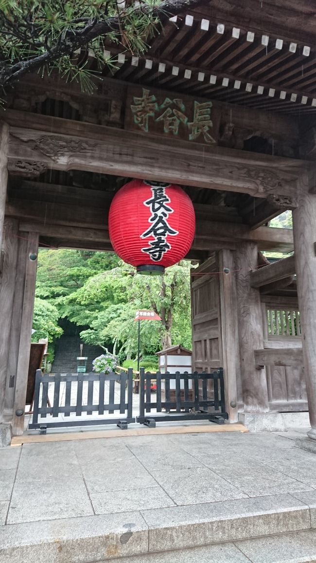 鎌倉雨に濡れたあじさい見物の旅201806パート１（長谷寺とあじさい編）