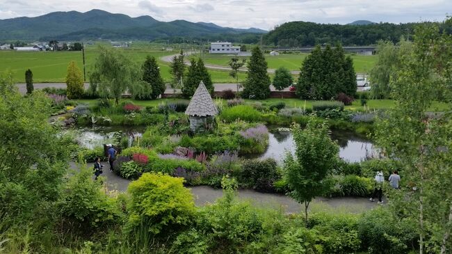 星野リゾートOMO７旭川と新富良野プリンスホテルに泊まるガーデン街道８ケ所制覇３日間　２日目　富良野